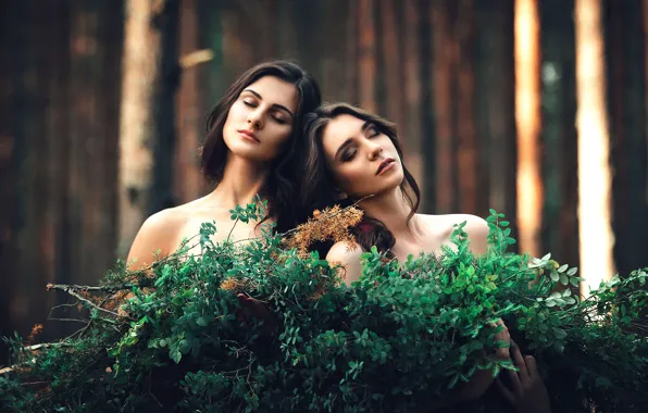 Картинка лес, две девушки, подруги