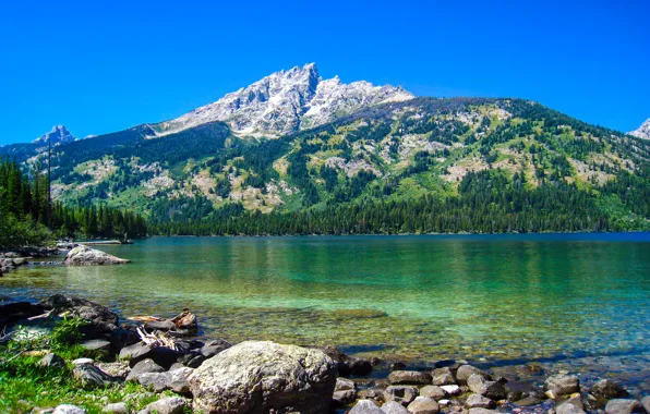 Горы, природа, озеро, Wyoming, Grand Teton National Park, Emerald Lake