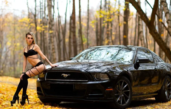 Ford Mustang, Эротика, красивая девушка, чёрный авто