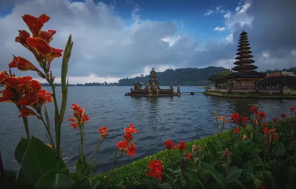Картинка облака, пейзаж, цветы, озеро, берег, Бали, Индонезия, храм