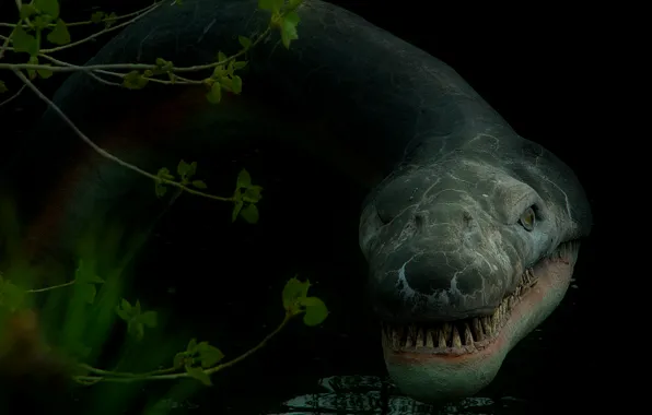 Monster, Scotland, Nessie, fable, Lockness