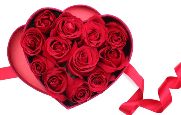 Коробка, подарок, сердце, розы, лента, красные, love, valentine's day