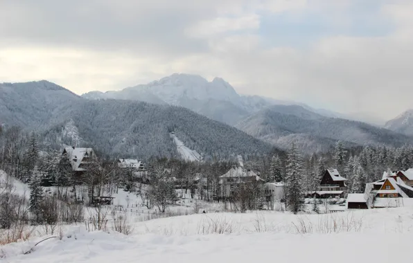 Зима, пейзаж, природа, город, Польша, леса, Poland, Закопане