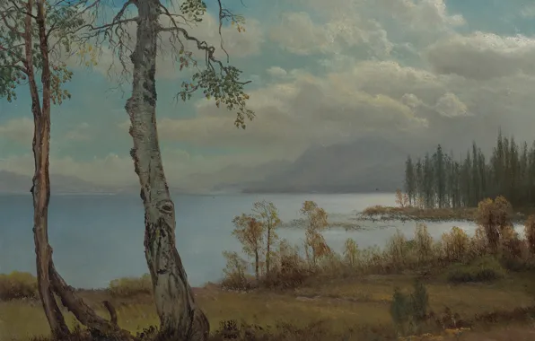 Картинка пейзаж, картина, Альберт Бирштадт, Озеро Тахо