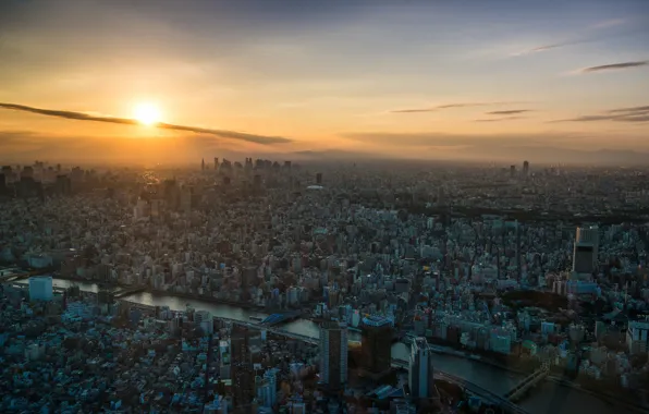 City, sunset, building