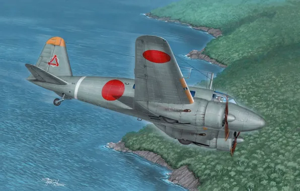 Учебно-боевой, IJAAF, Ki-54, Императорская Япония