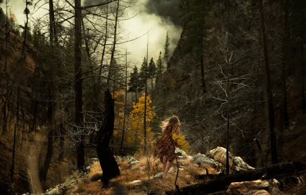 Картинка лес, девушка, камни, дым, Lichon