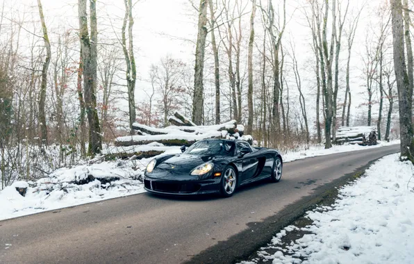 Картинка car, Porsche, trees, Porsche Carrera GT