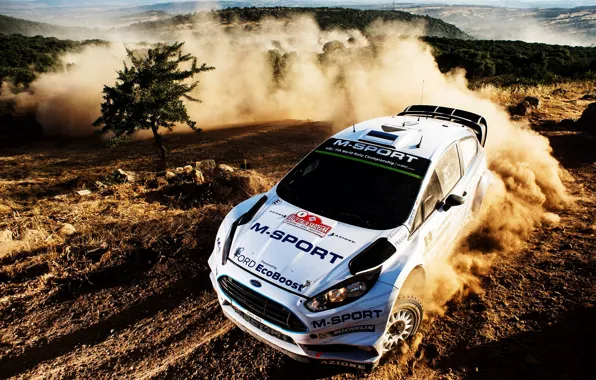 Ford, Форд, WRC, Rally, Ралли, Fiesta, Ott Tanak