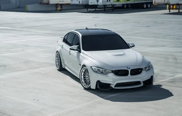 Картинка BMW, White, Sight, F81