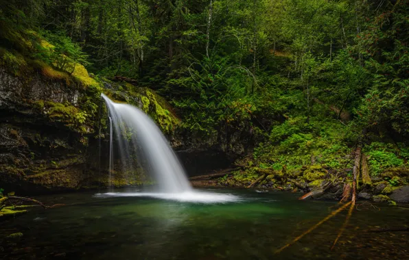 Лес, река, водопад, Gifford Pinchot National Forest, Washington State, Штат Вашингтон, Река Айрон, Iron Creek …