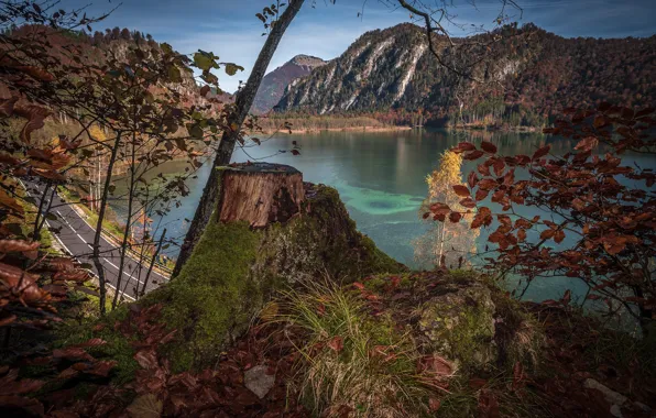 Картинка дорога, осень, деревья, пейзаж, горы, природа, озеро, пень