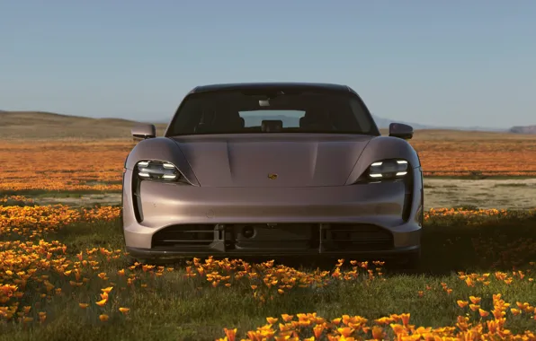 Поле, цветы, Porsche, Turbo S, Cross Turismo, Taycan, Porsche Taycan Turbo S Cross Turismo