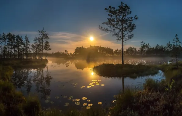 Картинка закат, природа, вечер