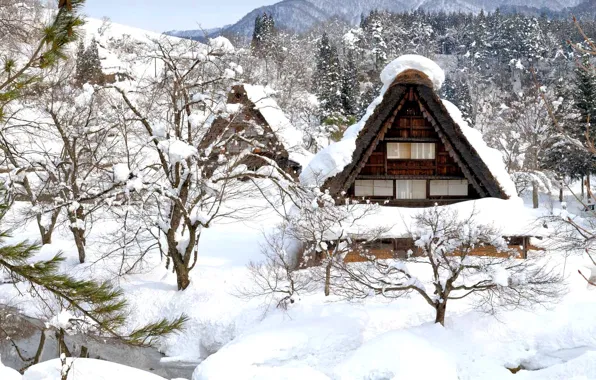 Зима, снег, дом, Япония, остров Хонсю, Гокаяма, Сиракава-го