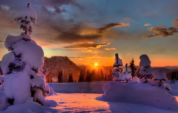 Картинка лес, солнце, закат, Снег