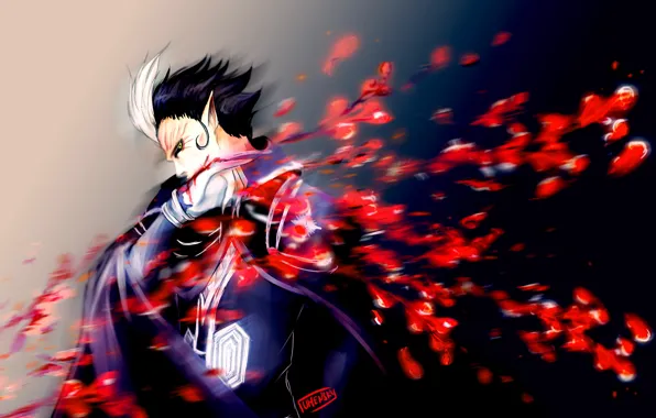 Взгляд, улыбка, арт, парень, D. Gray-man