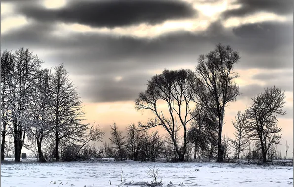 Картинка зима, снег, деревья, тучи