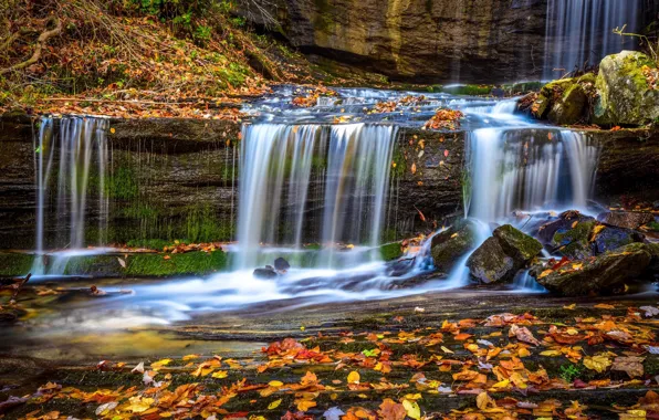 Картинка осень, ручей, водопад, опавшие листья, North Carolina, Северная Каролина, Grassy Creek, Grassy Creek Falls