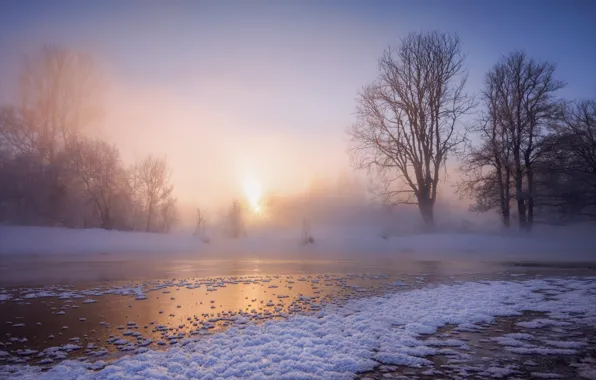 Картинка зима, снег, деревья, река, рассвет, утро, мороз, Россия