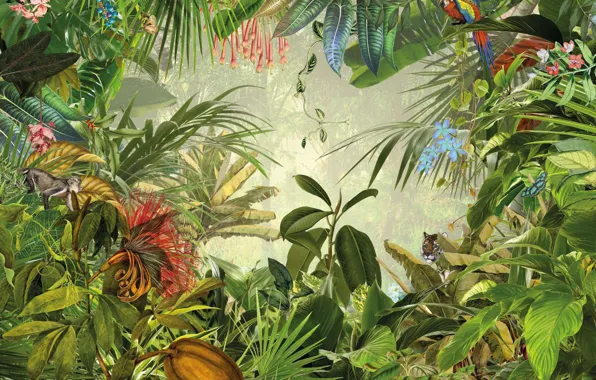 Картинка Лес, Тропики, Растения, Forest, Plants, Tropics, Зеленые обои, Green Wallpaper