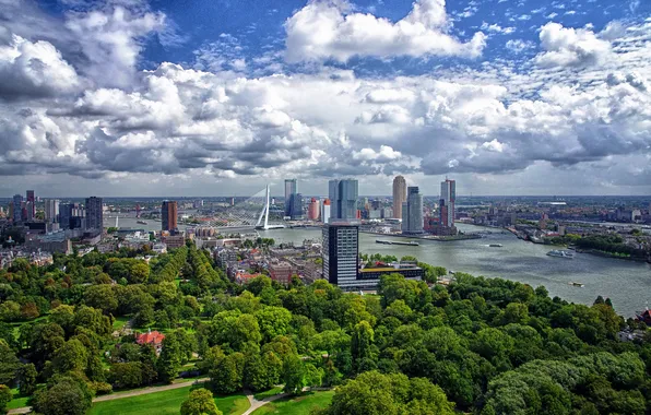 Картинка небо, деревья, пейзаж, мост, дома, панорама, Нидерланды, Роттердам