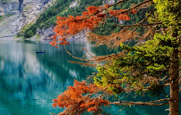Осень, озеро, дерево, лодка, Швейцария, рыбаки, Switzerland, озеро Эшинензе