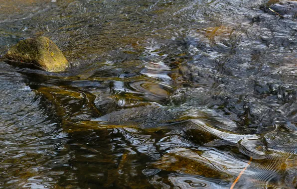 River, stone, water