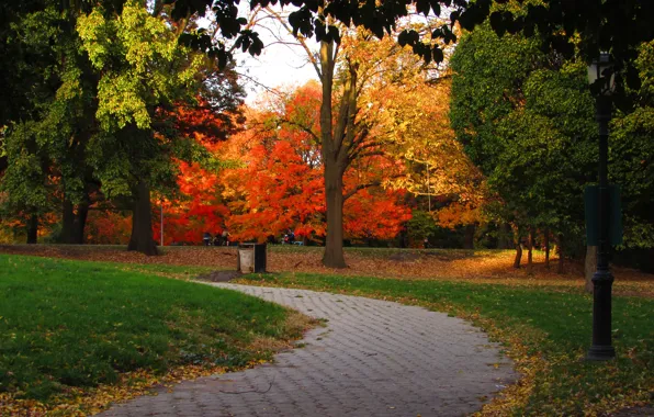 Картинка Осень, Парк, Fall, Дорожка, Park, Autumn, Colors, Trees