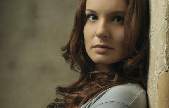 Актриса, ходячие мертвецы, the walking dead, Сара Уэйн Кэллис, Sarah Wayne Callies
