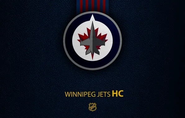 Wallpaper, sport, logo, NHL, hockey, Winnipeg Jets