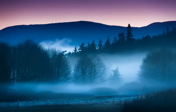 Картинка небо, деревья, пейзаж, туман