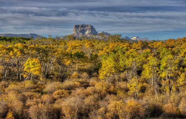 Пейзаж, горы, United States, Montana