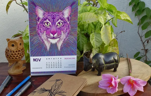 Стол, растения, календарь, статуэтки, CALENDAR 2019 - LOSING WILDLIFE