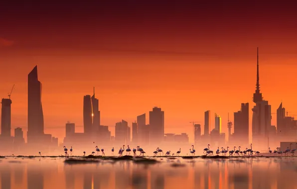 Картинка city, sky, photography, sea, landscape, sunset, water, skyscraper