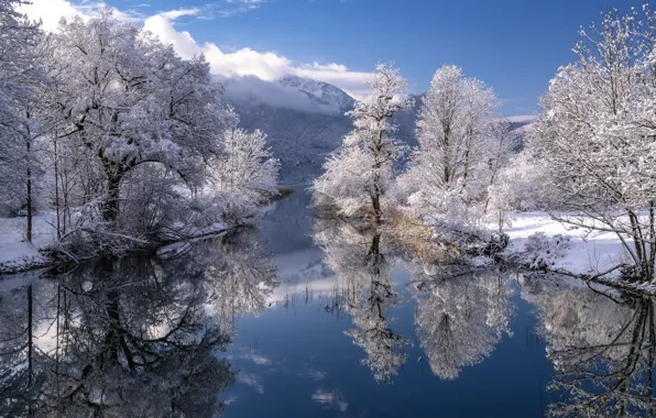 Зима, снег, деревья, горы, отражение, река, Германия, Бавария