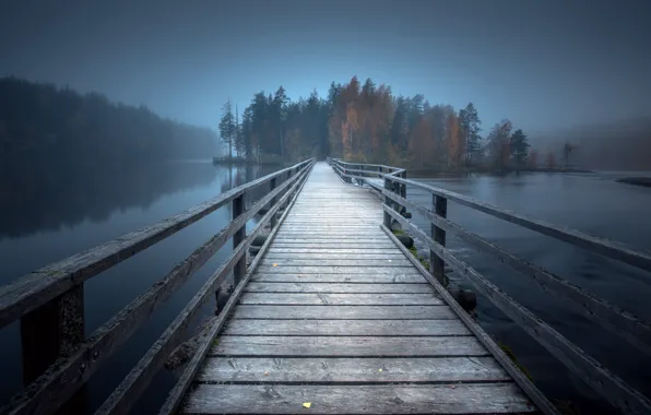 Картинка мост, туман, озеро