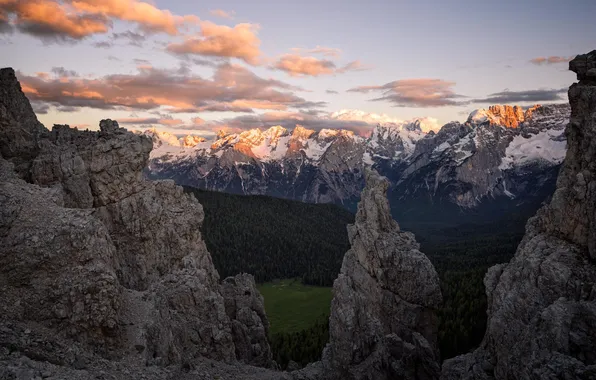 Картинка лес, пейзаж, горы, природа, cкалы