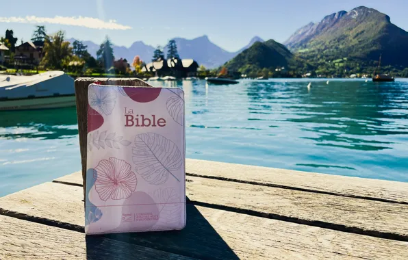 Love, Wood, Tree, Water, Mountain, Summer, Sunshine, God