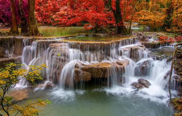 Осень, лес, ручей, камни, водопад, пороги