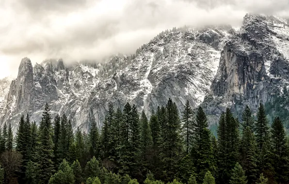 Зима, лес, горы, USA, США, Национальный парк Йосемити, Yosemite National Park, State California