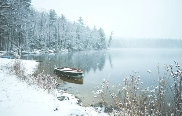 Картинка зима, лес, снег, озеро, пруд, лодка, Англия, England