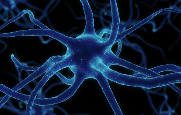 Картинка сеть, синапсы, нейрон
