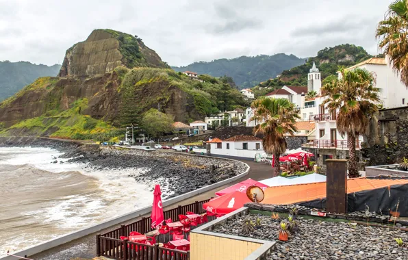 Море, деревья, пальмы, скалы, побережье, дома, Португалия, Madeira