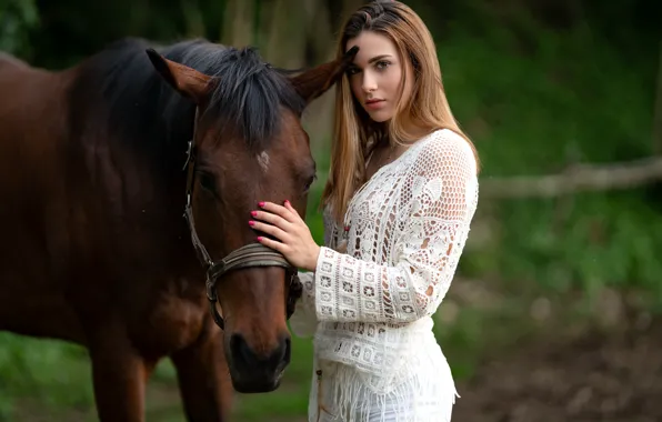 Взгляд, девушка, поза, лошадь, красивая, Elena, боке, маникюр