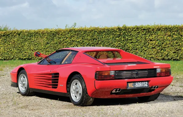 Машина, Ferrari, вид сзади, Testarossa