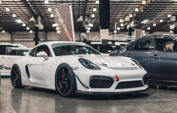 Porsche, Cayman, Coupe, White, Stance, StenceNation