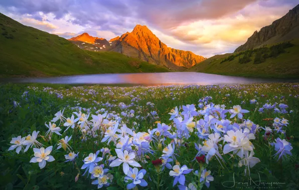 Цветы, горы, природа, озеро