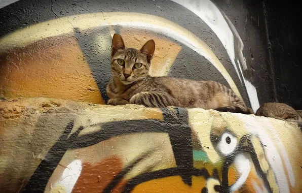 Картинка кошка, стена, граффити, лежит, смотрит
