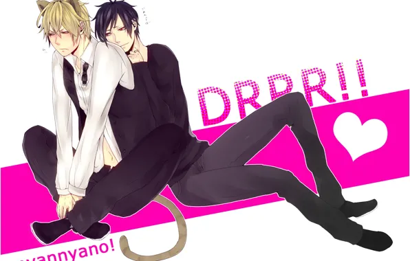 Котики, Durarara, Дюрарара, Шизуо Хейваджима, Изая Орихара